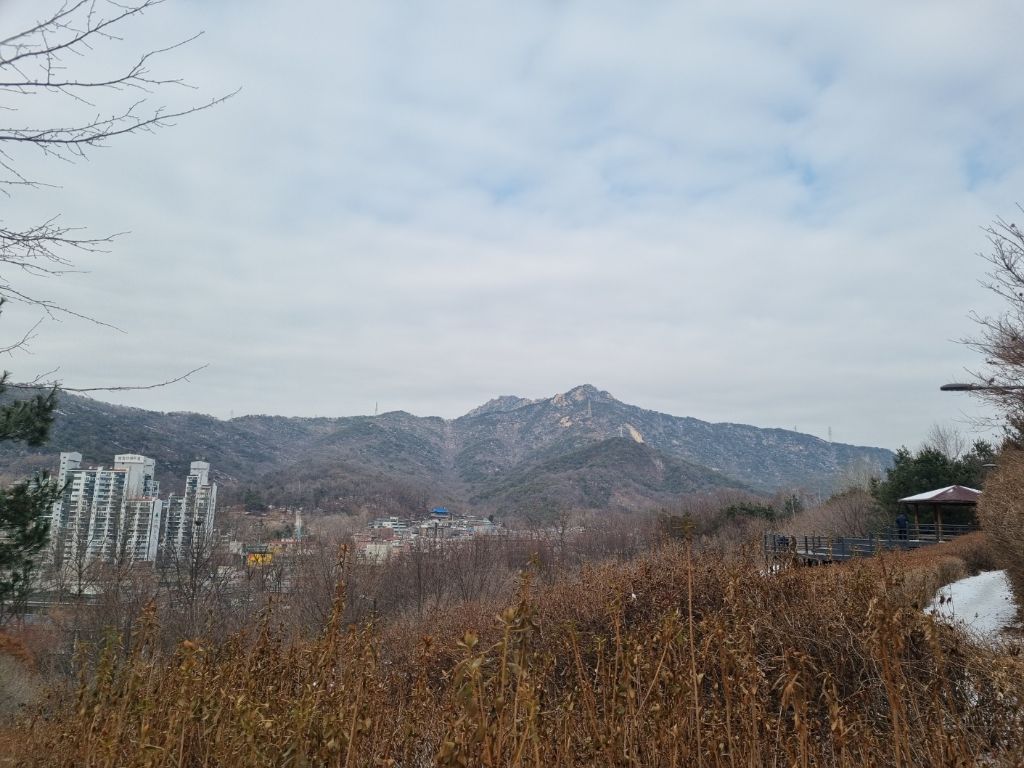 토시리 이미지