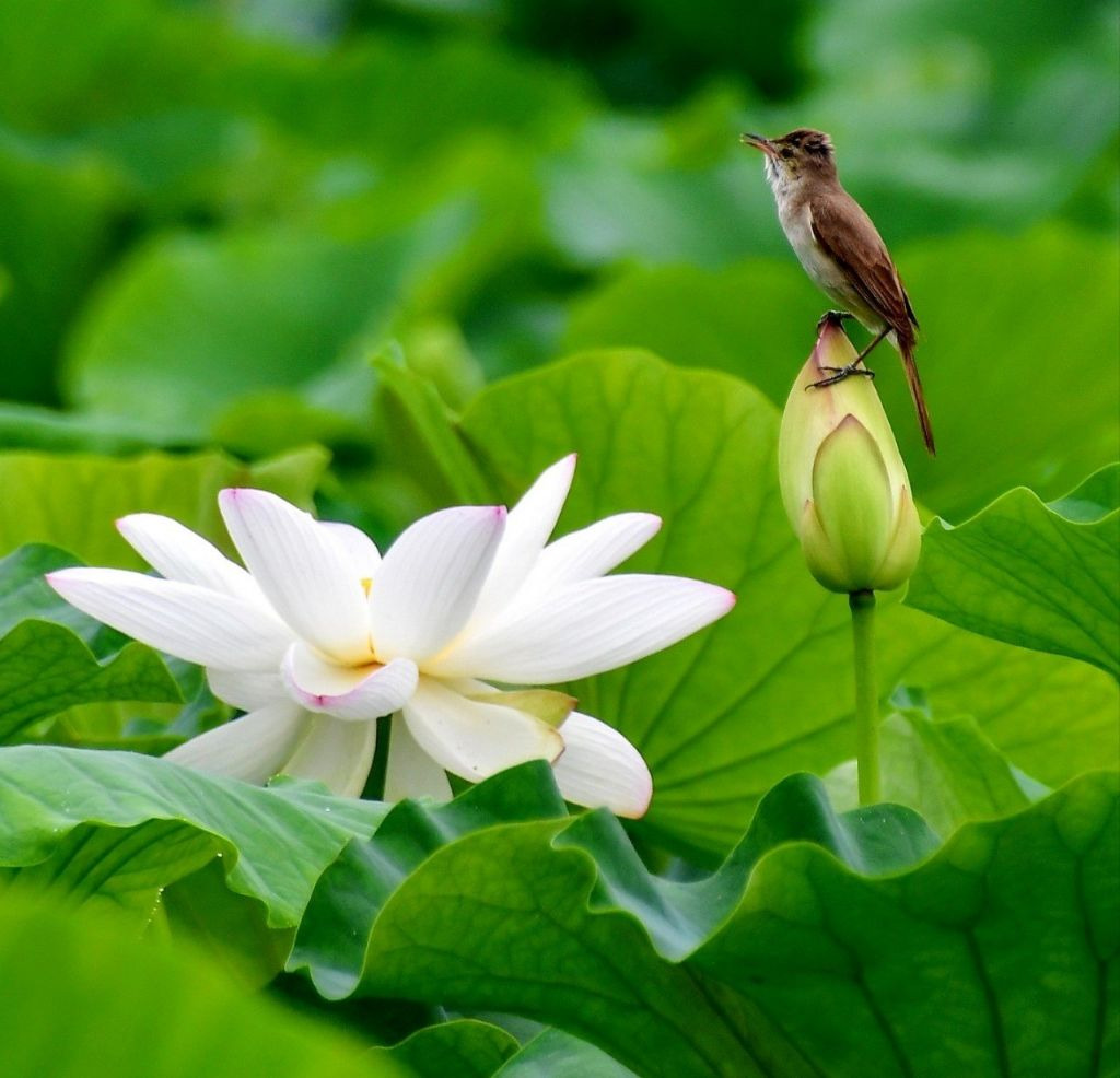 (주)사람과사람사이 이미지