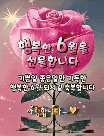 토시리 이미지