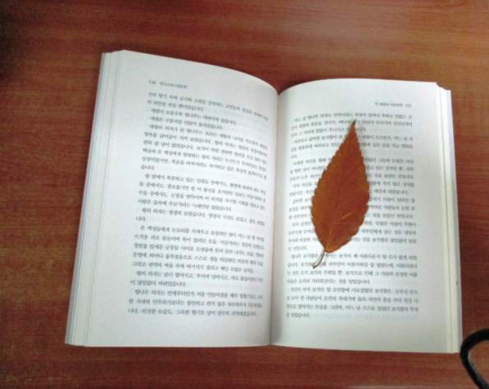 푸른잎사귀 이미지