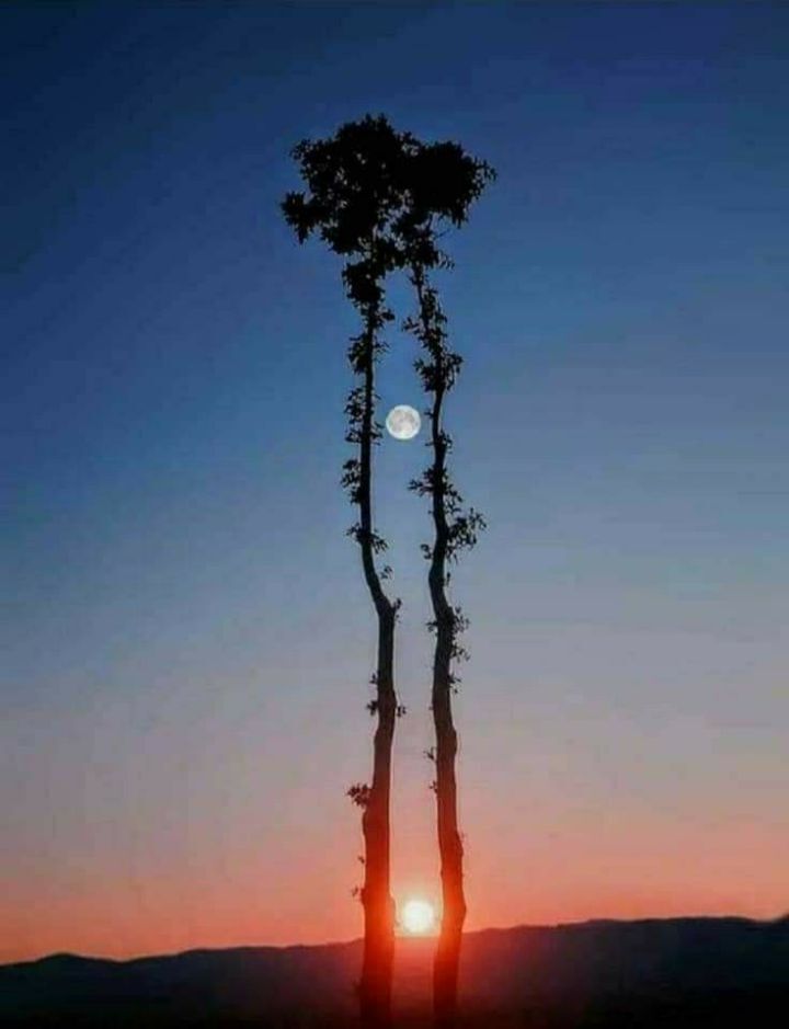 해와달 이미지