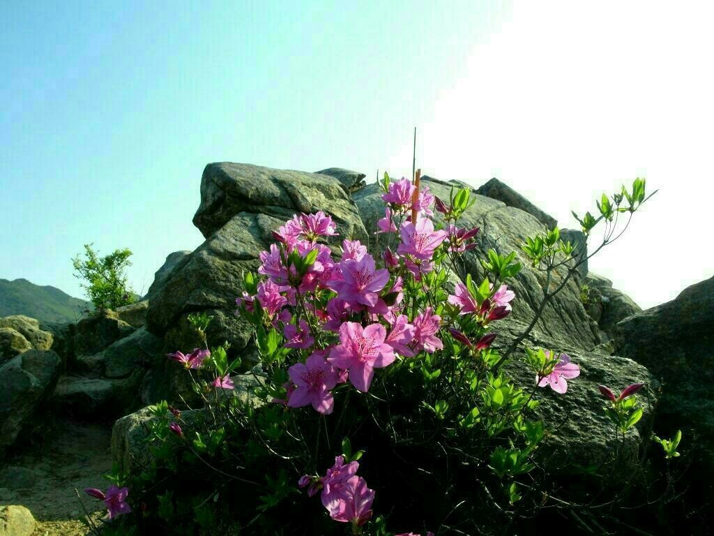 무제(無題) 이미지
