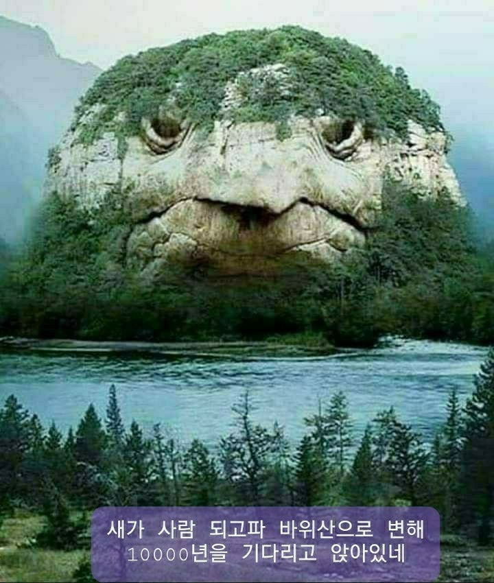 닻별 이미지