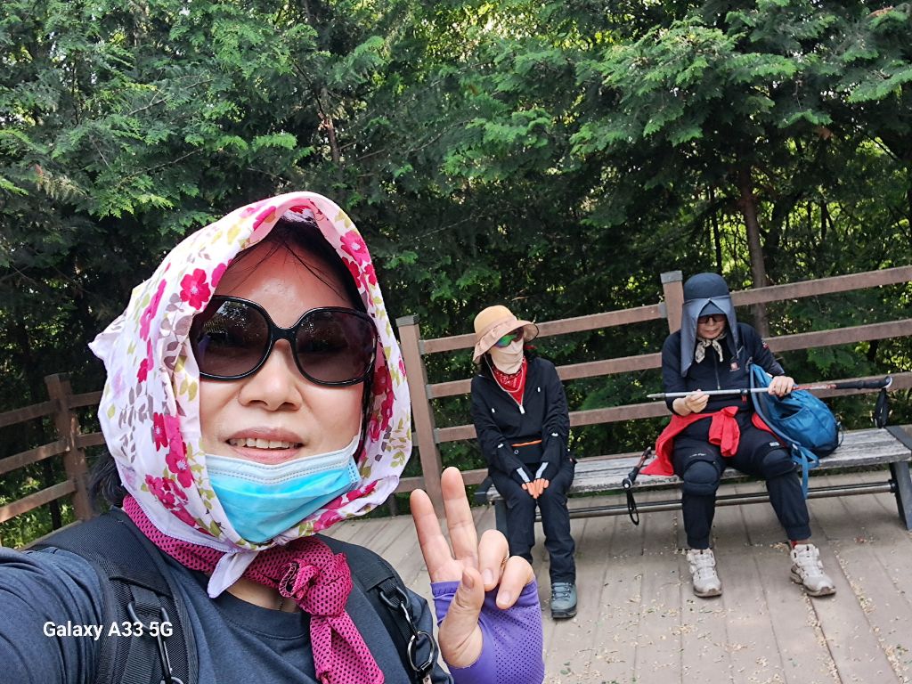 토시리 이미지