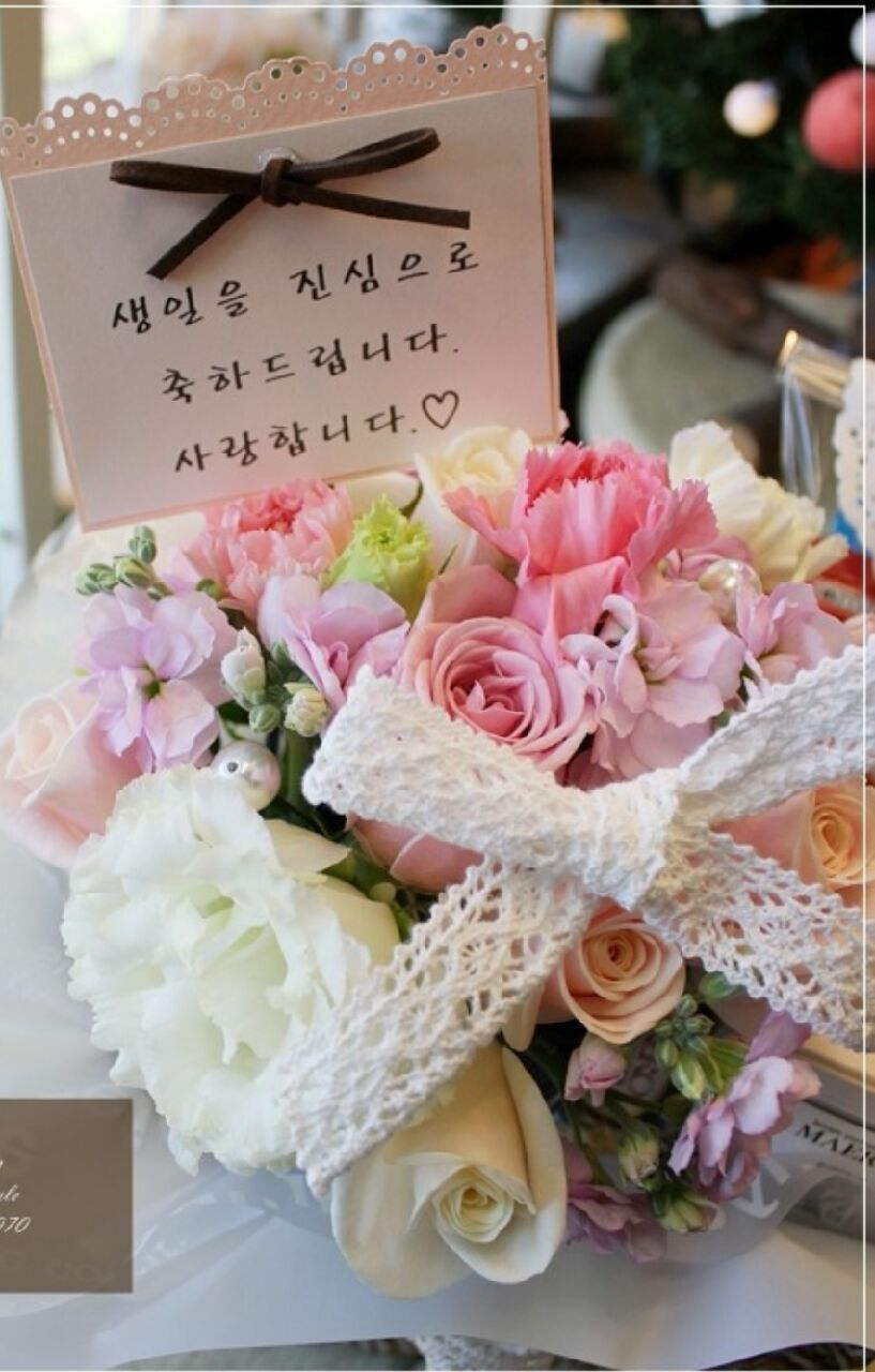 토시리 이미지