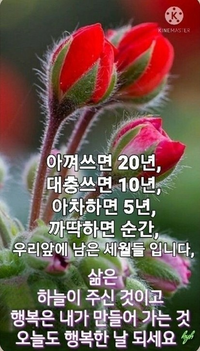 연후 이미지
