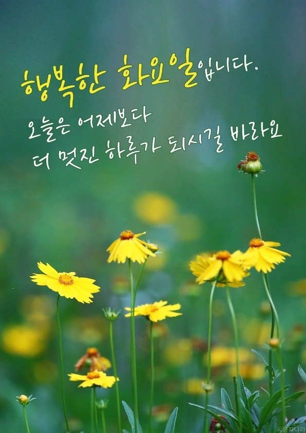 부경 이미지