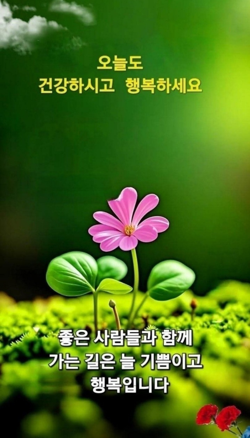 부경 이미지