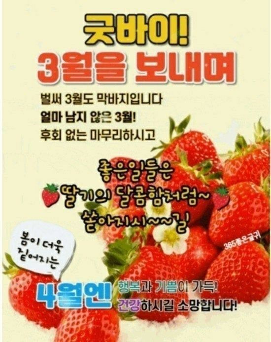삼월 이미지
