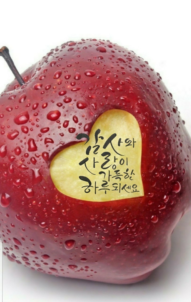 부경 이미지
