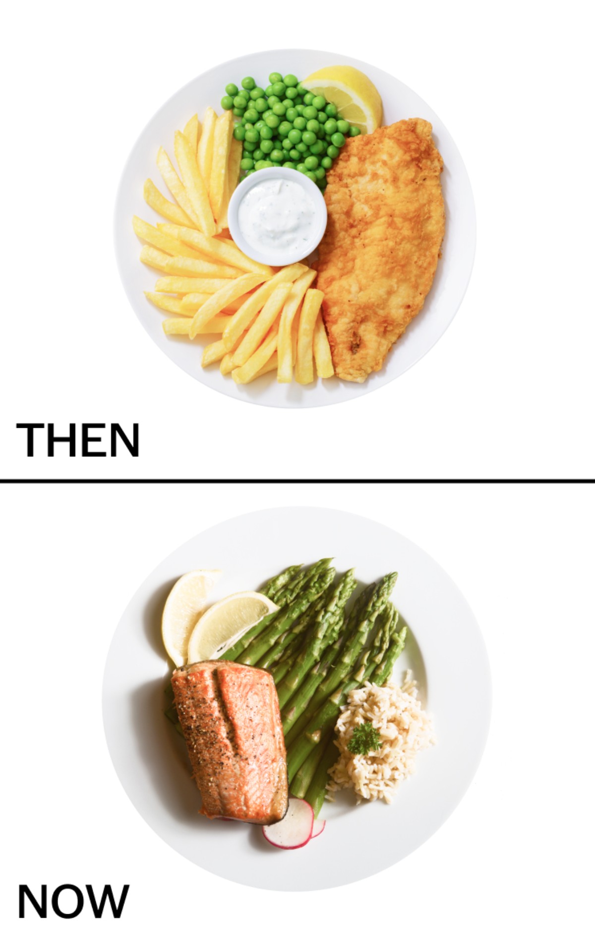 치즈 앤 과일