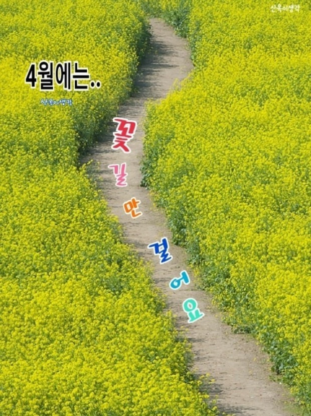 참좋은날 이미지