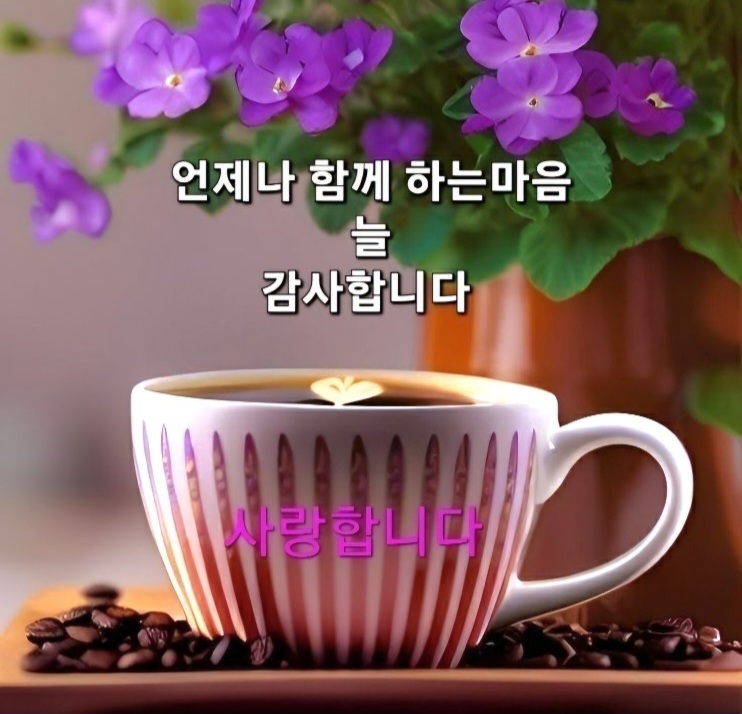 함초롱 이미지