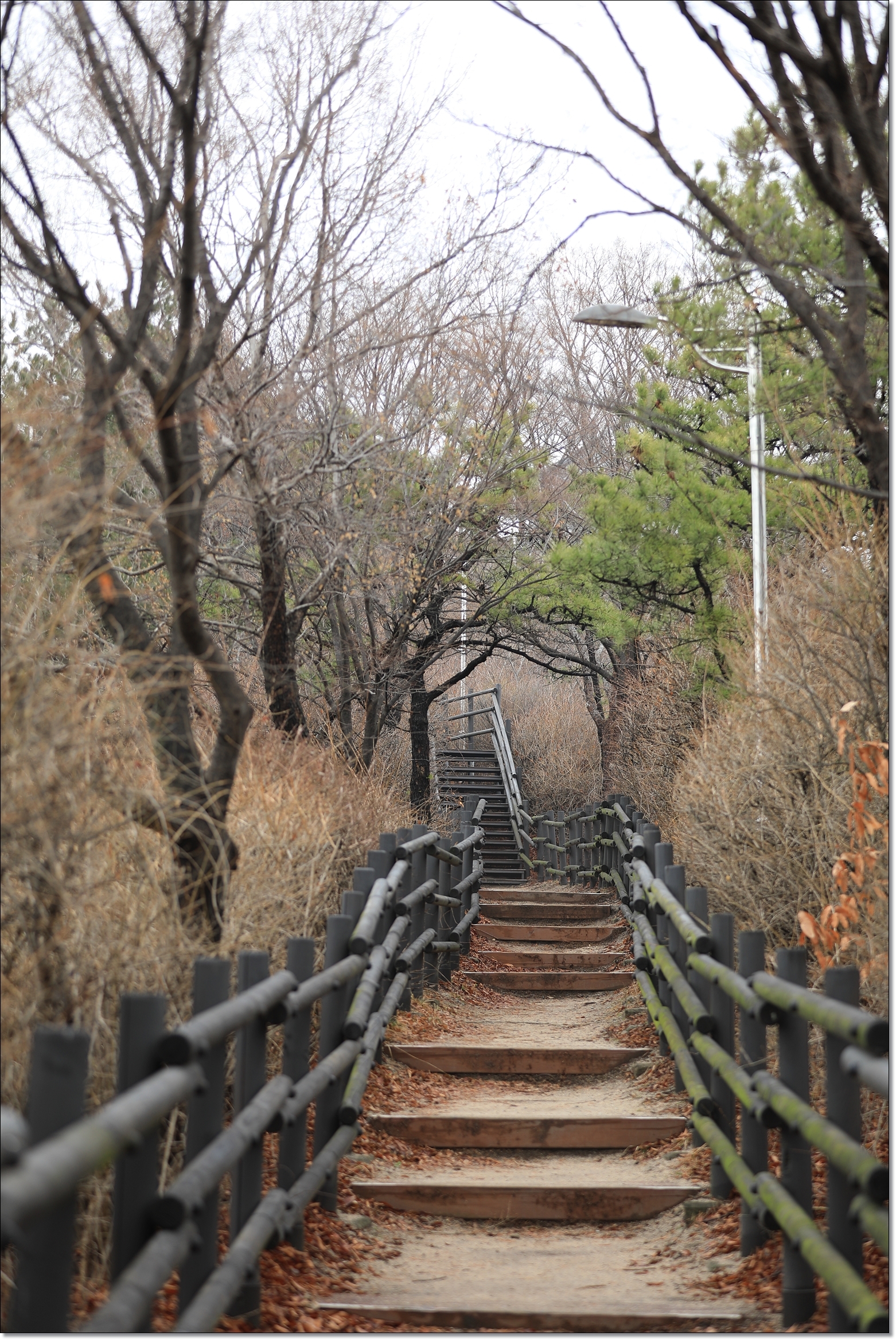 오후의숲 이미지
