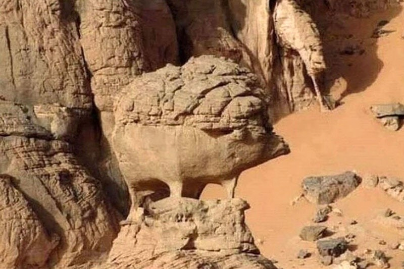 사하라 사막 고슴도치 바위 | 인스티즈