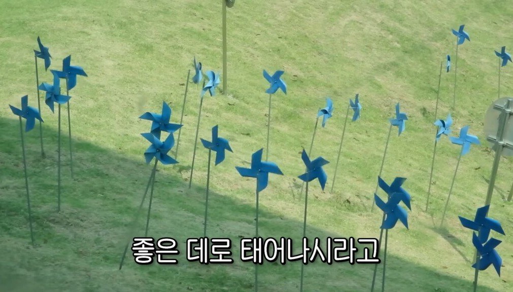 스테이크 드시러 아웃백에 가신 선우용녀 선생님의 인생론 | 인스티즈