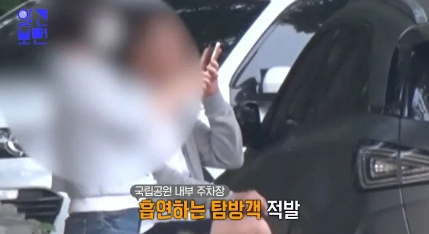 제주 흡연충 | 인스티즈