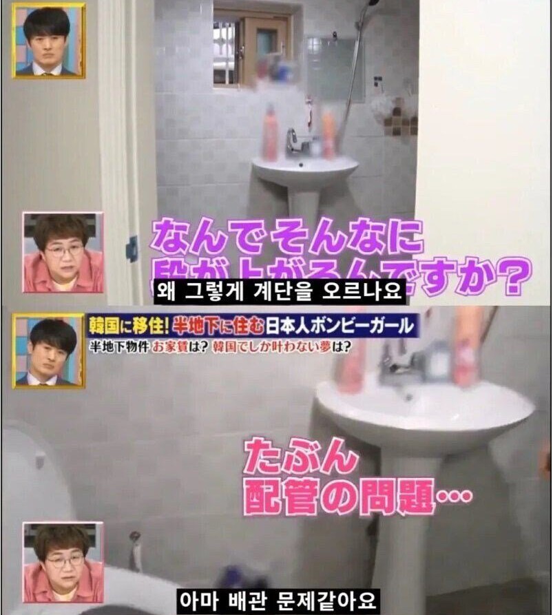 반지하 이미지