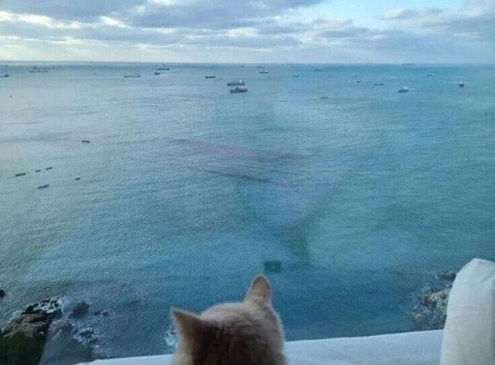 함지 이미지