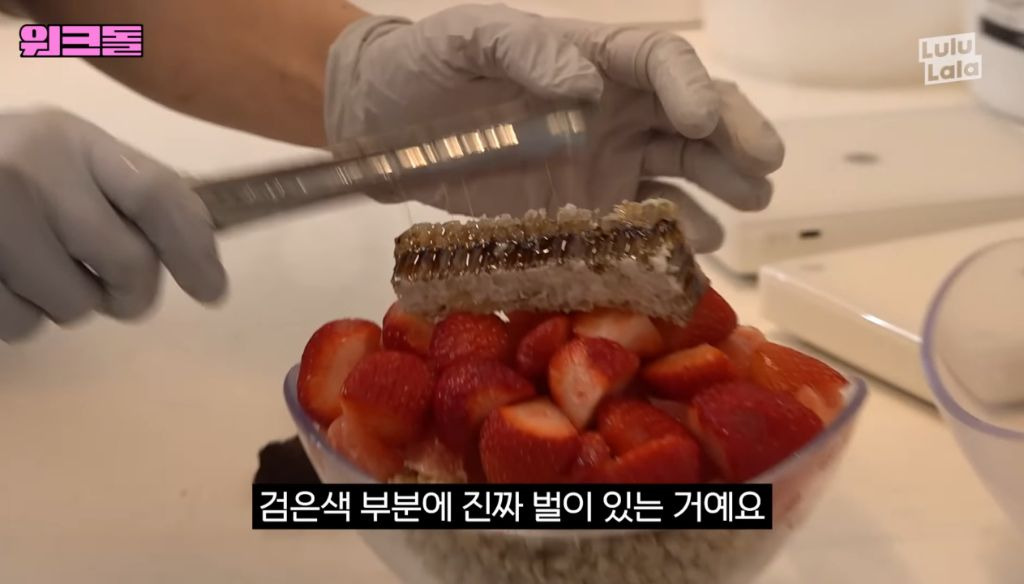 요아정 이미지