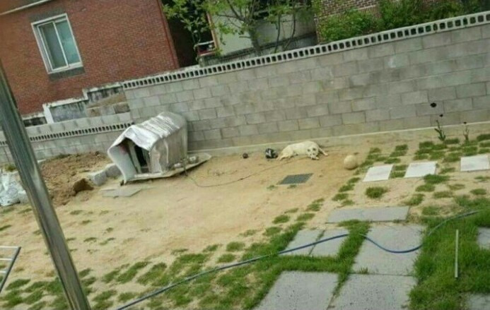 하수구 이미지