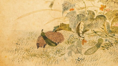 조선의 오이 도둑, 고슴도치 | 인스티즈