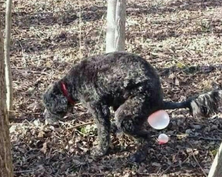 한통 이미지