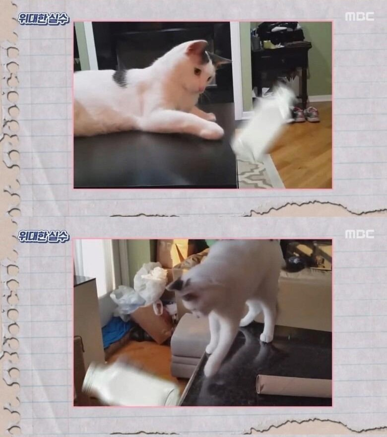 안전자동차유리 이미지