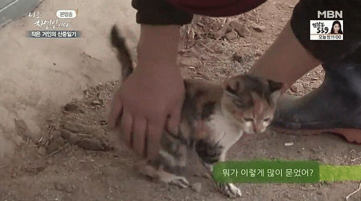 자연인 이미지