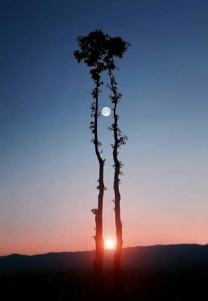 해와달 이미지