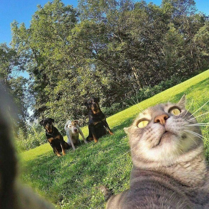 셀카 이미지