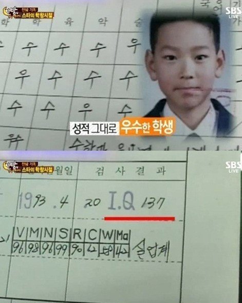아이큐 이미지