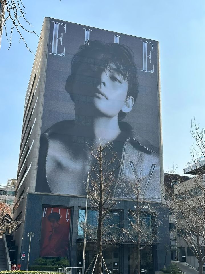 엘르 진 이미지