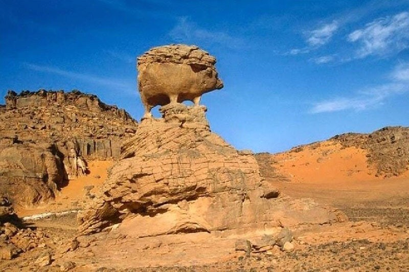 사하라 사막 고슴도치 바위 | 인스티즈