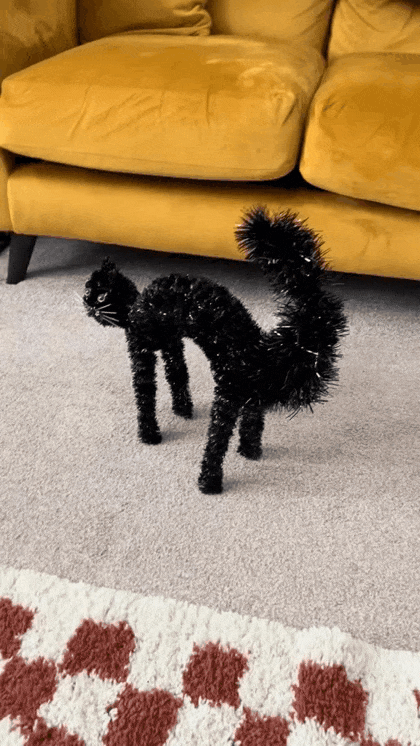 인형과 대치 중인 고양이 | 인스티즈