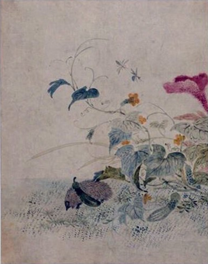 조선의 오이 도둑, 고슴도치 | 인스티즈