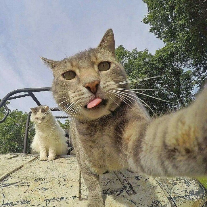셀카 이미지