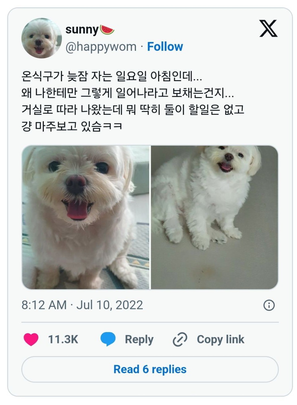 온식구 이미지