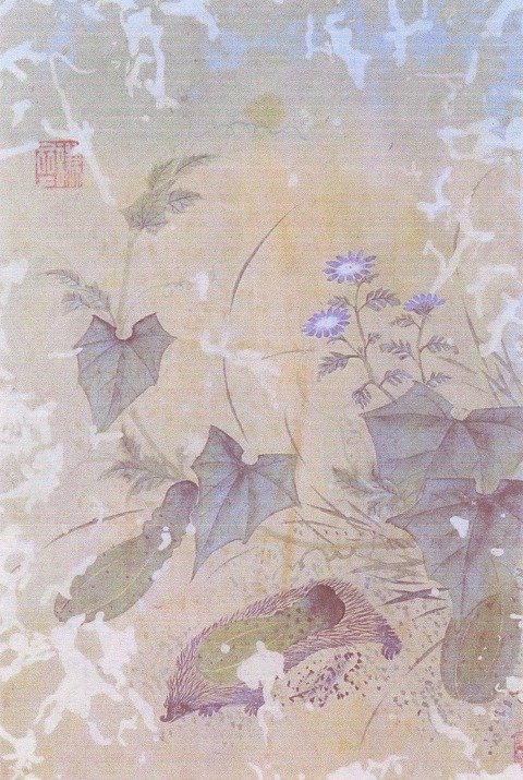 조선의 오이 도둑, 고슴도치 | 인스티즈