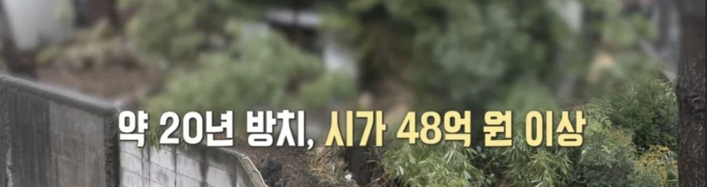 초고령사회 빈집이 늘어나는 일본 | 인스티즈