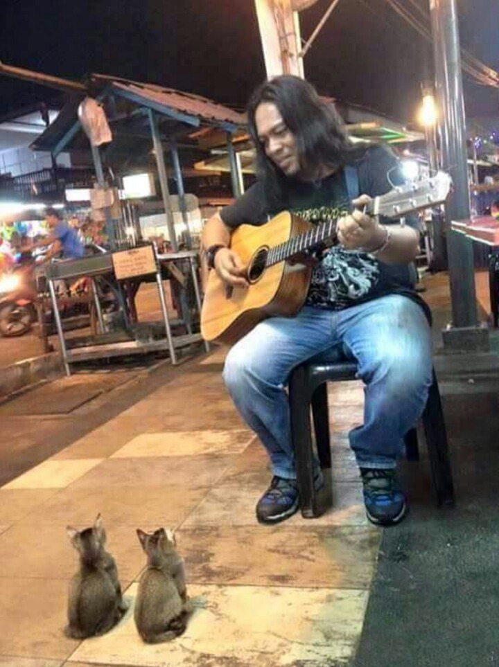 연주 이미지