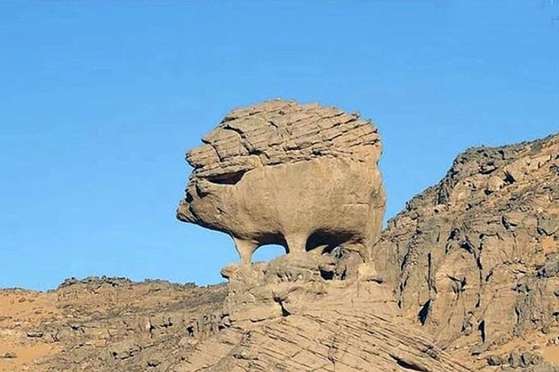 사하라 사막 고슴도치 바위 | 인스티즈