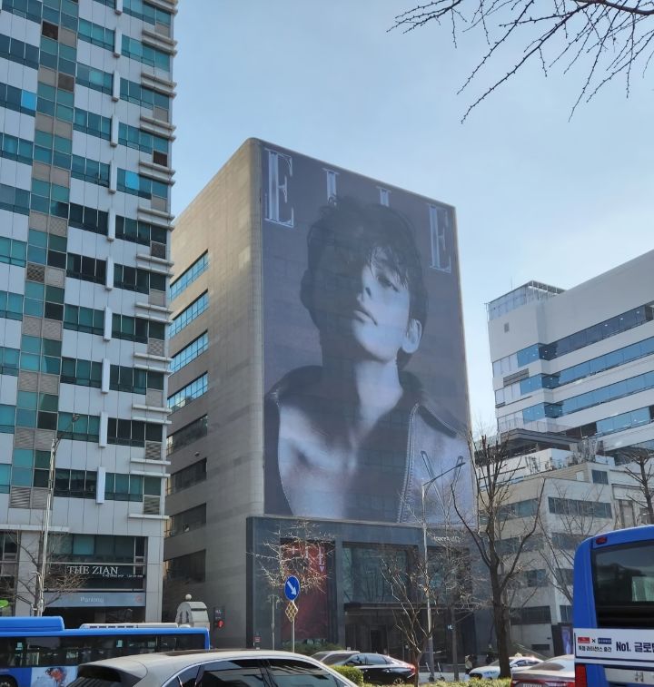 엘르 진 이미지