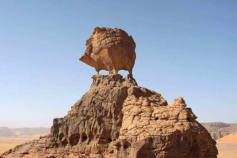 사하라 사막 고슴도치 바위 | 인스티즈