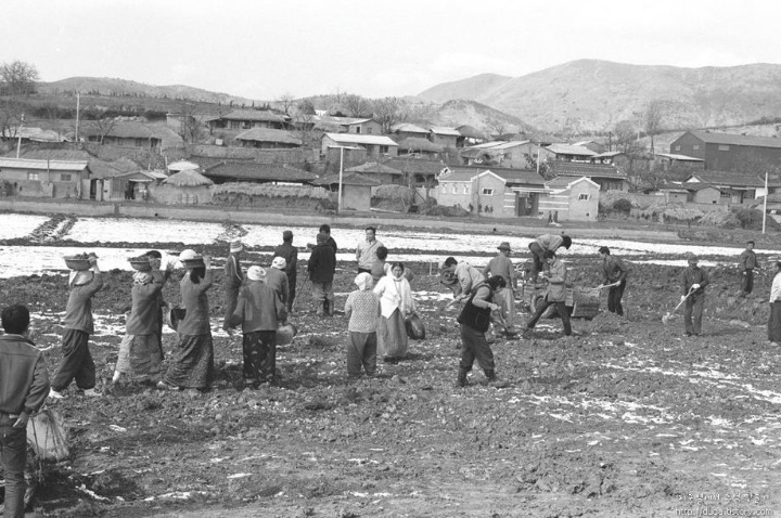 대구광역시의 옛모습 | 인스티즈