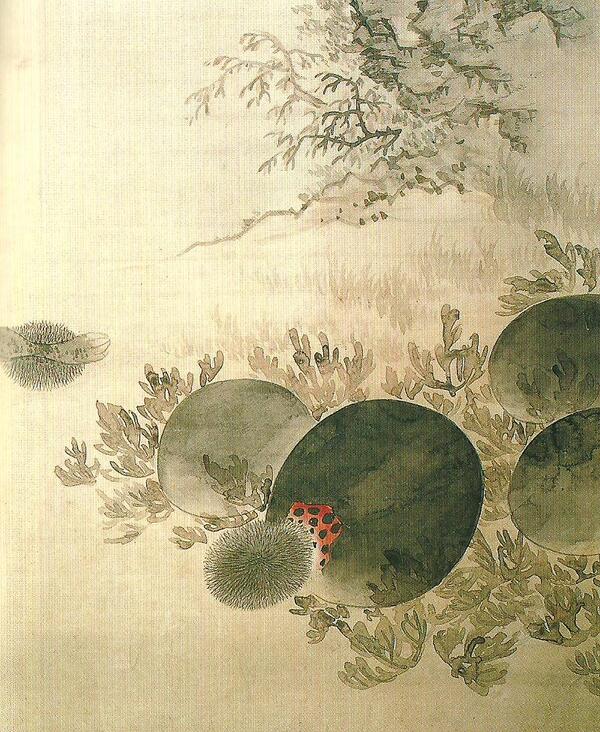 조선의 오이 도둑, 고슴도치 | 인스티즈