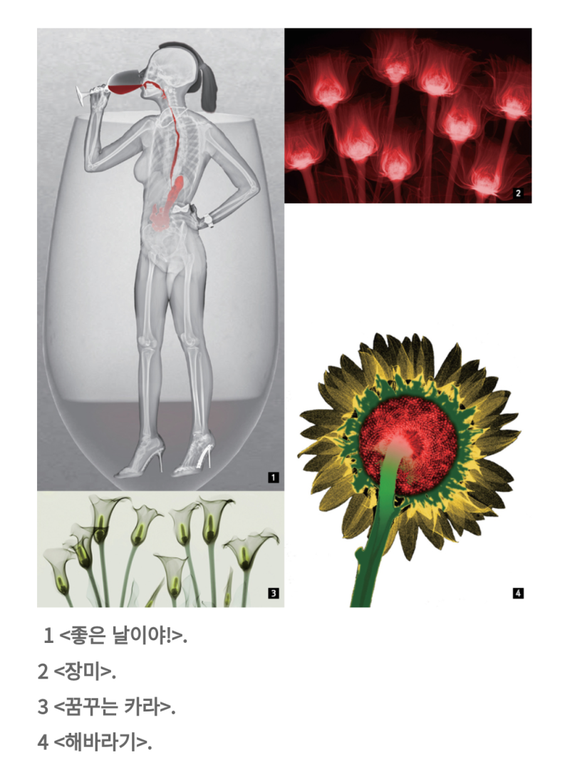 아트영상 이미지