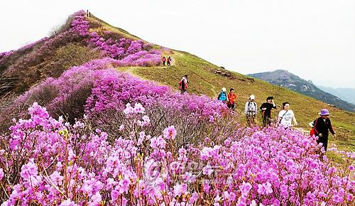 화왕산 이미지
