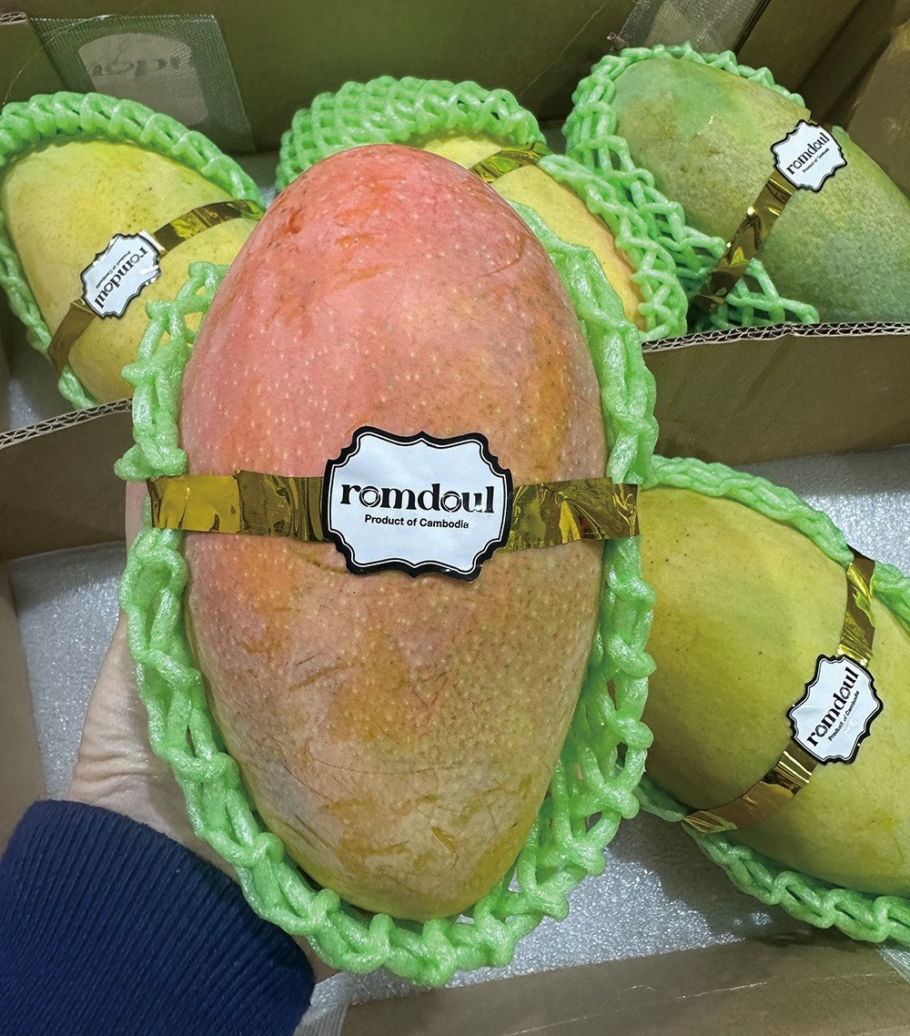 신맛그린 이미지