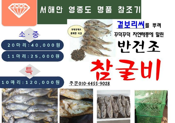 보리씨 이미지